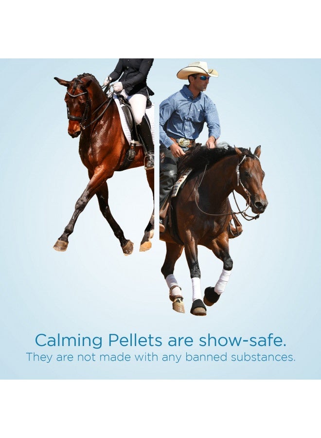 Formula 707 Formula 707 Calming Equine Supplement 5Lb Bucket – Anxiety Relief And Enhanced Focus For Horses – L-Tryptophan, Thiamine And Magnesium  - Image 3