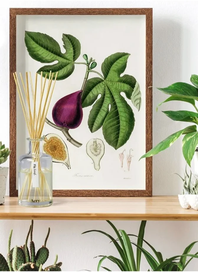 ايري ليفينج Aery Living Fig Leaf 200ml Diffuser