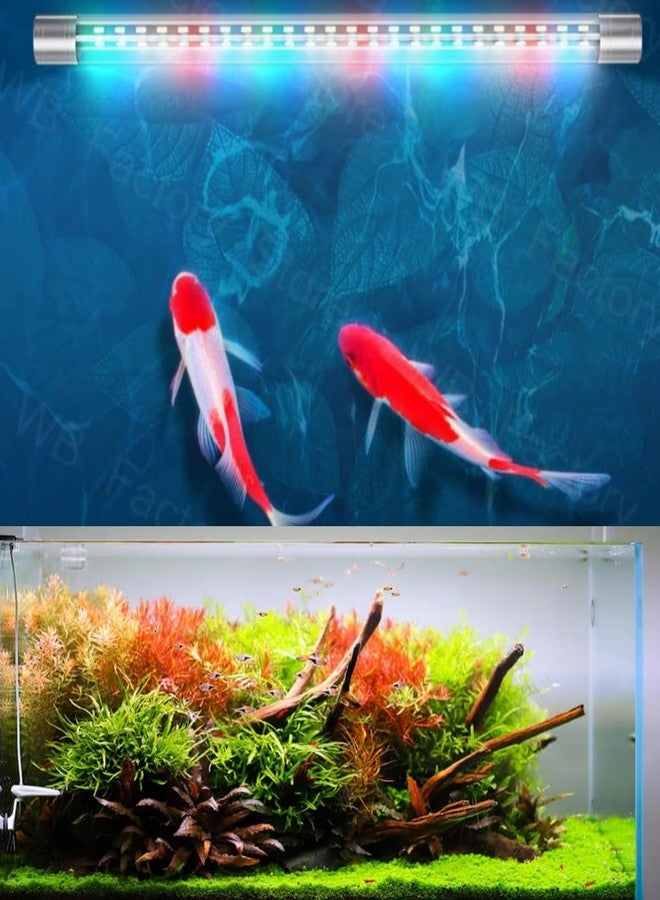 مصباح VAYINATO Glass Rs Electricals مزدوج الصفوف عالي السطوع Wrgb T8 LED لحوض أسماك الزينة (C80، حجم LED 72 سم، مناسب لأحواض 2.5-3.5 قدم) - Image 1