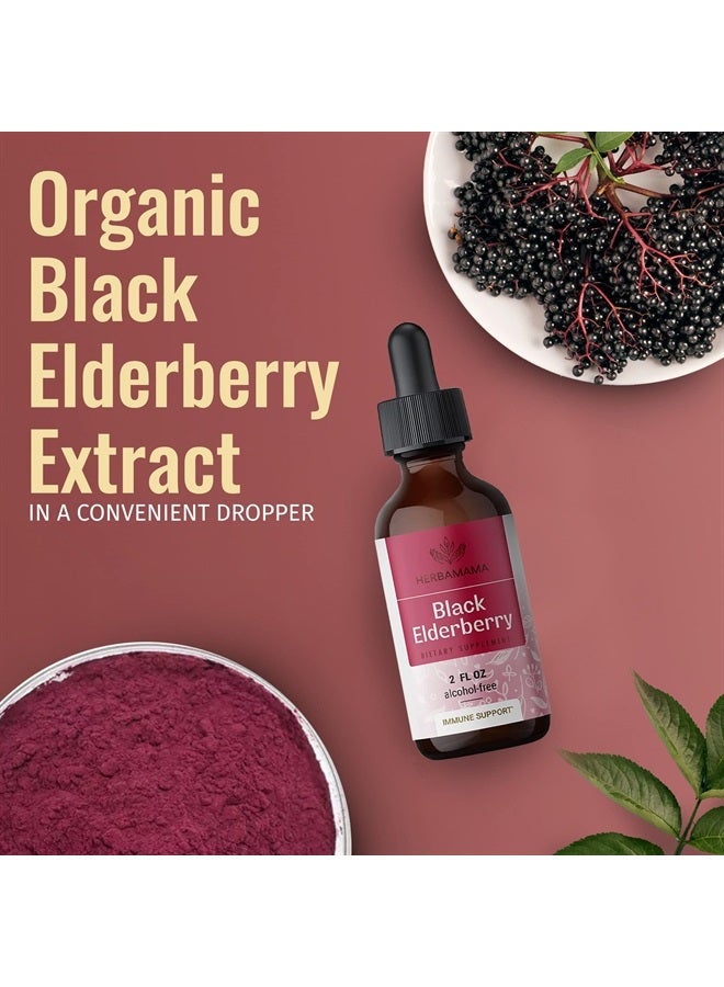 Elderberry Liquid Extract - Organic Black Elderberry Cough Drops Supplements - Elderberry Tincture for Adults - Alcohol-Free Vitamins - Vegan - 2 fl oz