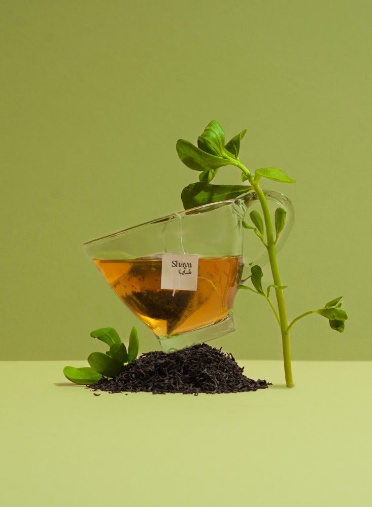 Shaya Moringa Tea 20 Tea Bags - Image 3