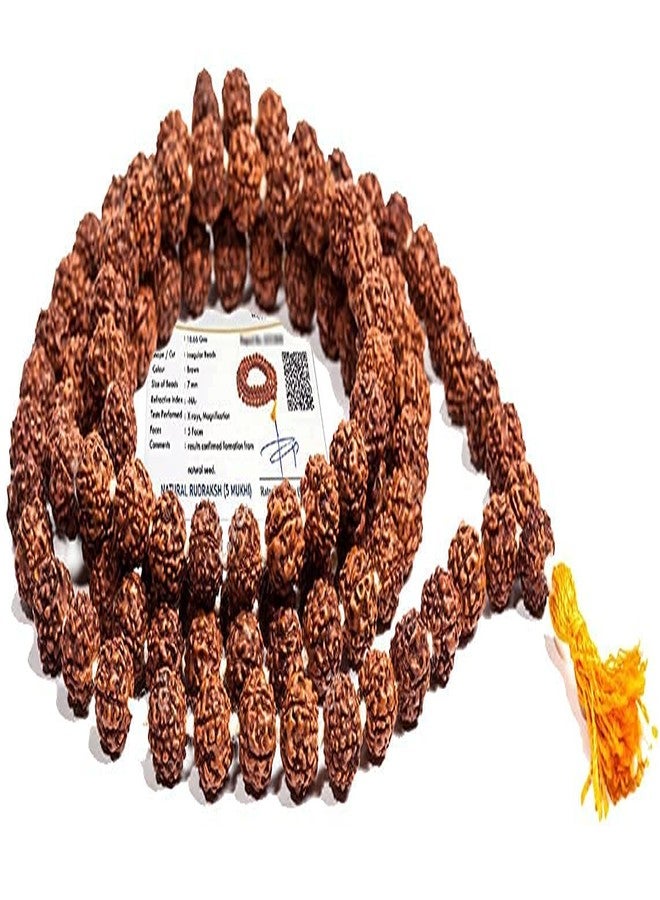FIRMUS مسبحة رودراكشا من فيرموس ذات 5 أوجه للتلاوة وللرجال/النساء (8 مم، حجم حبة كبير، 108+1 حبة، معتمدة من المختبر) - خرز رودراكشا بني طبيعي - عبوة من قطعة واحدة (5.5 مم) - Image 2