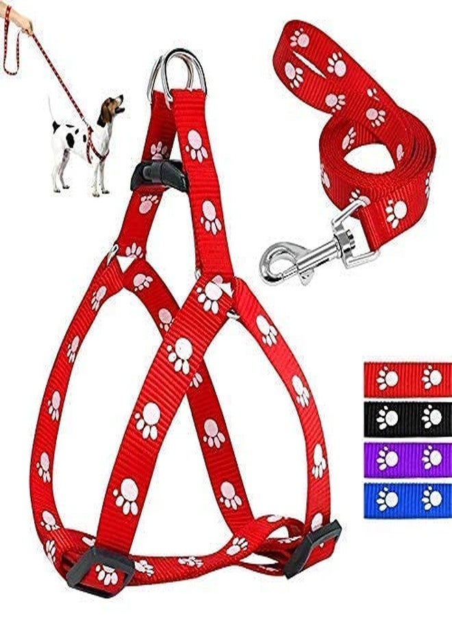 Smart Pups Dog harnes Leash with Collar Set Colour May Very Pack of 3 Pcs (Red) - Image 1