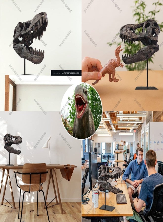 pombconw جمجمة ديناصور تي ريكس، تمثال ديناصور من الراتنج، نسخة طبق الأصل من جمجمة ديناصور متحجرة، منحوتات هيكل عظمي، زينة مكتبية، خزائن، منزل، أطفال، بالغين - Image 3