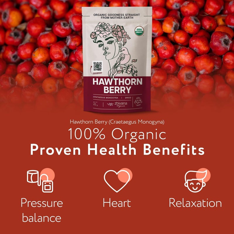 Zhivana Organics شاي توت الزعرور المجفف من زيفانا أورغانيكس - 1 رطل لصحة القلب ودعم ضغط الدم - Image 2