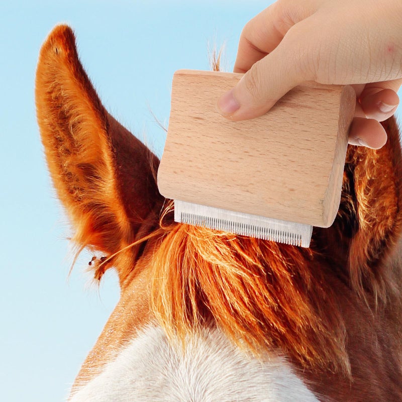 Small Wooden Pet Hair Remover Brush For Dog Shedding And Horse Grooming - Image 4