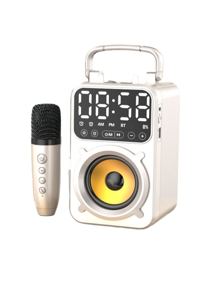 EBMINI Microphone Bluetooth Speaker With Microphone Singing Speaker All-In-One Machine