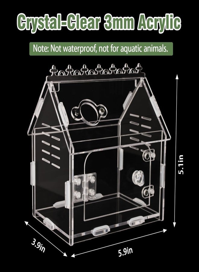 WEIKEJINA Magnetic Acrylic Spider Enclosure Kit - 5.9"x3.9"x5.1" Escape-Proof Terrarium for Jumping Spiders, Tarantulas & Mantis with Secure Magnetic Door & Ventilation - Image 2