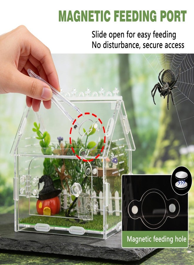 WEIKEJINA Magnetic Acrylic Spider Enclosure Kit - 5.9"x3.9"x5.1" Escape-Proof Terrarium for Jumping Spiders, Tarantulas & Mantis with Secure Magnetic Door & Ventilation - Image 4