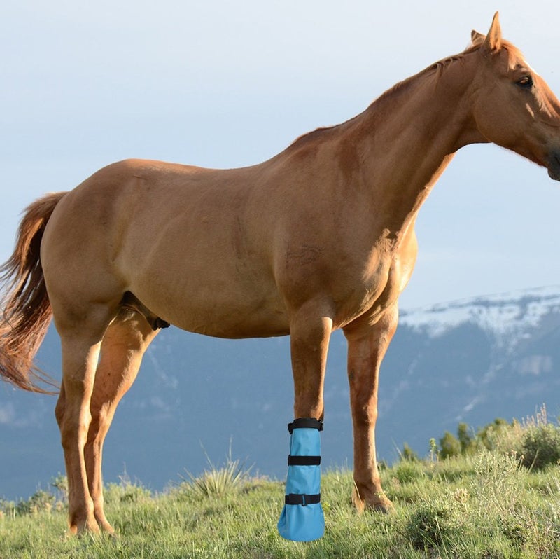 yeezo Horse Hoof Soaking Boot Hooves Soaker Bag for Treating Common Hoof Ailments with EVA Pad - Image 2