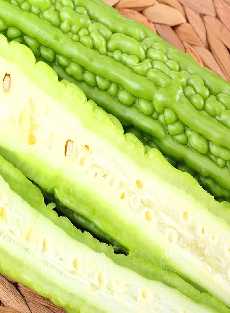 GGOOT 50 Pcs/Bag Bitter Gourd Seeds Open Pollination Easy to Grow Nutritious Delicious Green Plant Seeds Bitter Gourd Seeds Planting Bitter Gourd Seeds - Image 4