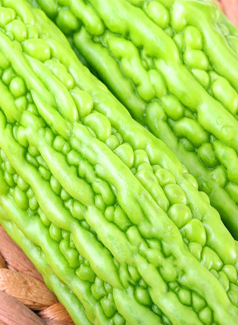 GGOOT 50 Pcs/Bag Bitter Gourd Seeds Open Pollination Easy to Grow Nutritious Delicious Green Plant Seeds Bitter Gourd Seeds Planting Bitter Gourd Seeds - Image 3