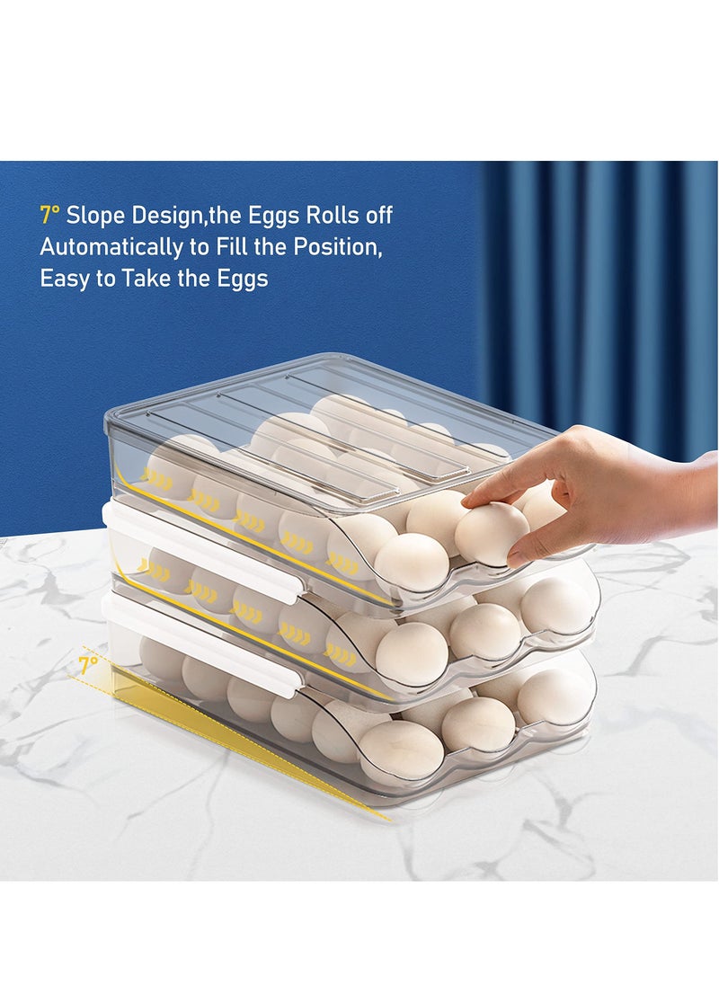 MIXDE - Large Capacity Egg Holder for Refrigerator, Egg Fresh Storage Box for Fridge, Egg Storage Container Organizer Bin, Clear Plastic Storage Container - Image 1