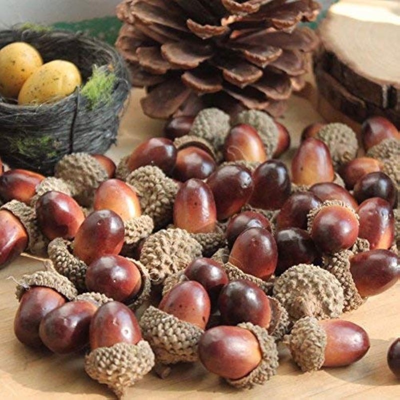 Onwon 100pcs Simulation Artificial Lifelike Small Acorn with Natural Acorn Cap for DIY Decoration Crafting Home House Kitchen Decor  Fake Fruit Props Acorns