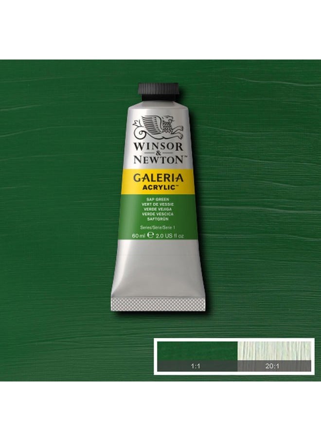 WINSOR & NEWTON Galeria Acrylic Color, 60ml (2-oz) Tube, Sap Green  - Image 2