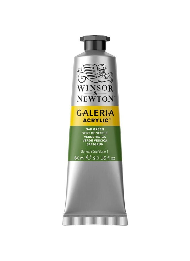 WINSOR & NEWTON Galeria Acrylic Color, 60ml (2-oz) Tube, Sap Green  - Image 5
