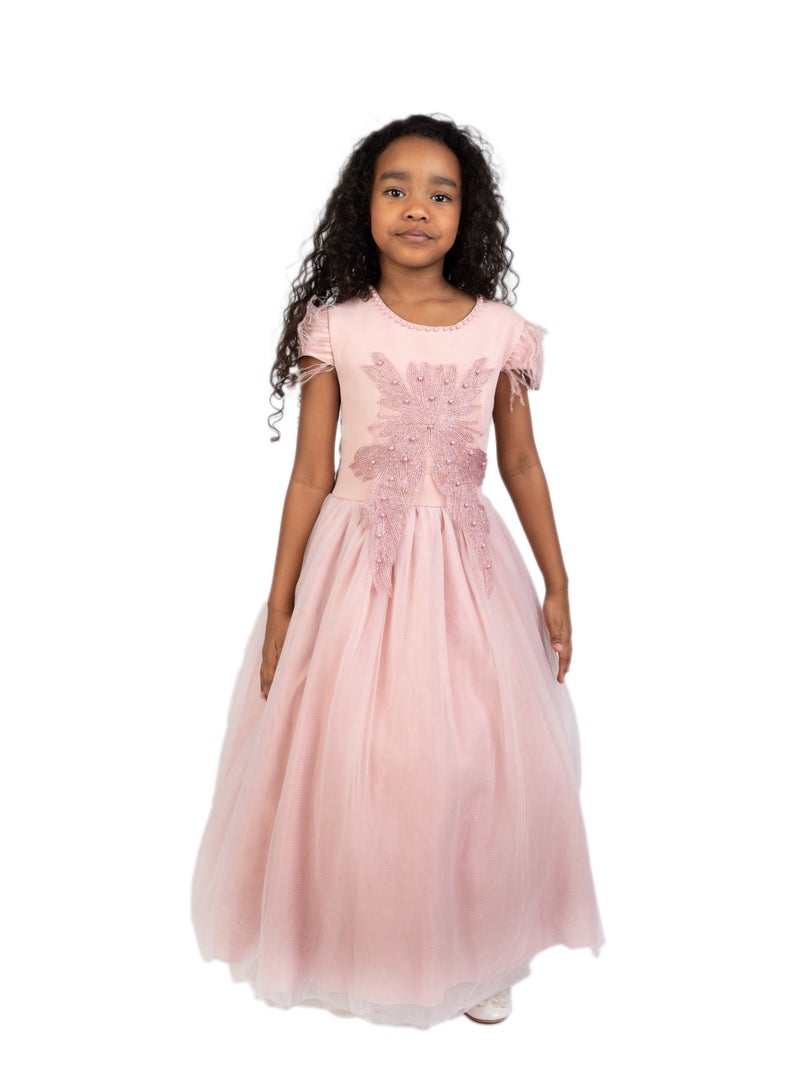 دىدانيالا فستان سهرة مطرز بالدانتيل - Image 1