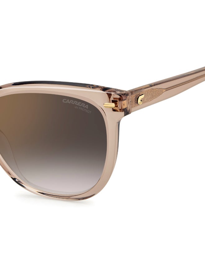 Carrera إطارات نظارات شمسية كارييرا مستطيلة - Image 5