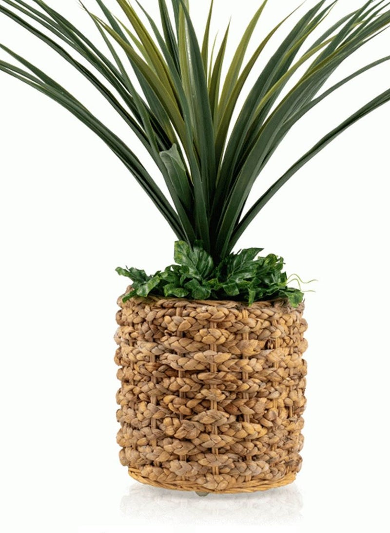 co arma Artificial tree simulating natural cactus seedlings, 60 cm high  - Image 2