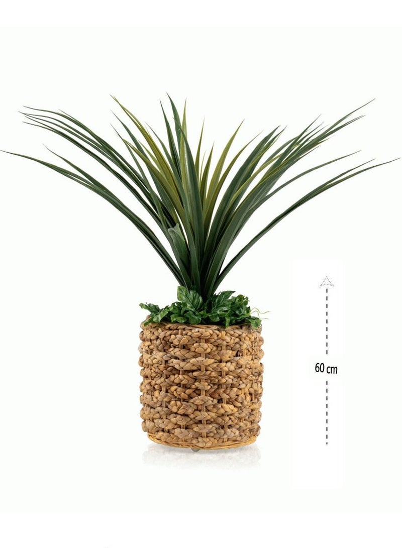 co arma Artificial tree simulating natural cactus seedlings, 60 cm high  - Image 1
