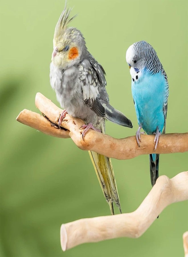 Allazone 5 PCS Bird Perch Natural Grape Stick Bird Standing Stick Swing Chewing Bird Toys Natural Grapevine Bird Cage Perch for Parrot Cages Toy for Cockatiels, Parakeets, Finches - Image 4