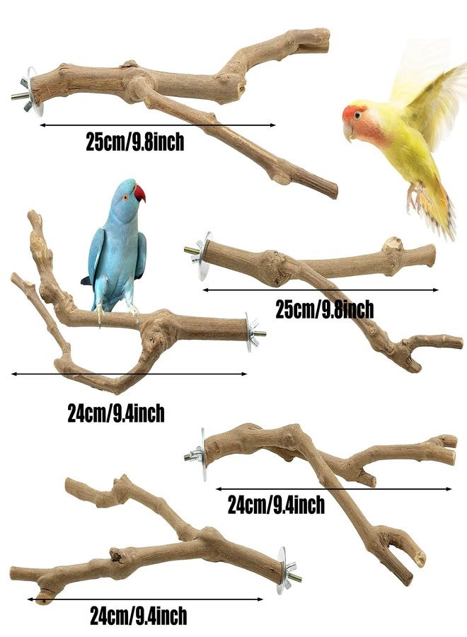 Allazone 5 PCS Bird Perch Natural Grape Stick Bird Standing Stick Swing Chewing Bird Toys Natural Grapevine Bird Cage Perch for Parrot Cages Toy for Cockatiels, Parakeets, Finches - Image 2