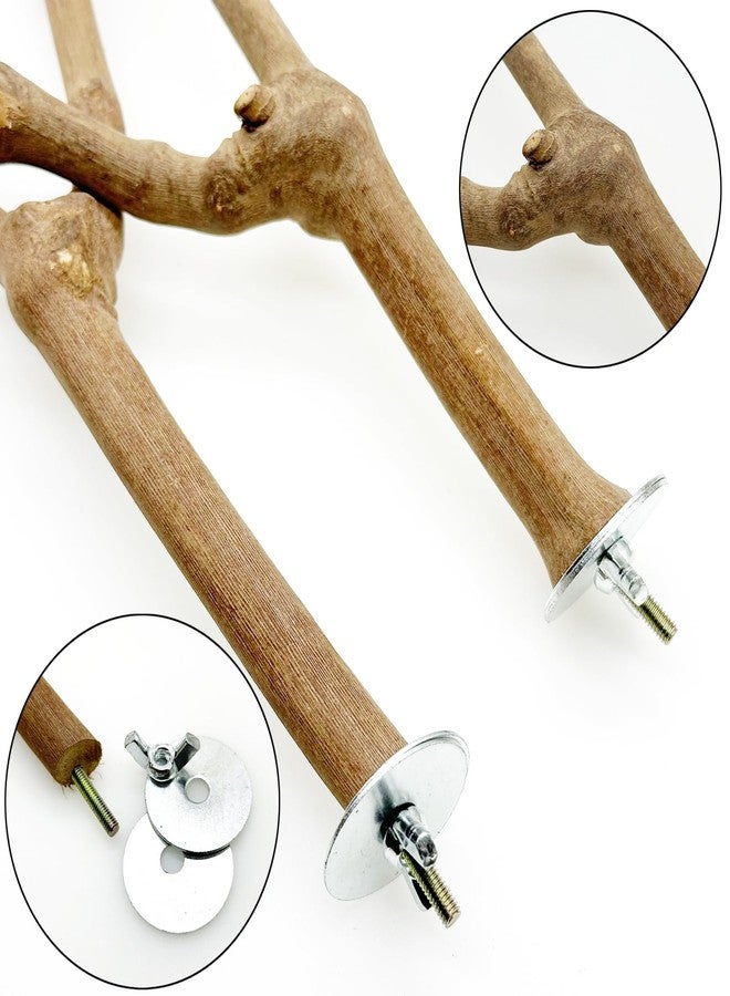 Allazone 5 PCS Bird Perch Natural Grape Stick Bird Standing Stick Swing Chewing Bird Toys Natural Grapevine Bird Cage Perch for Parrot Cages Toy for Cockatiels, Parakeets, Finches - Image 5
