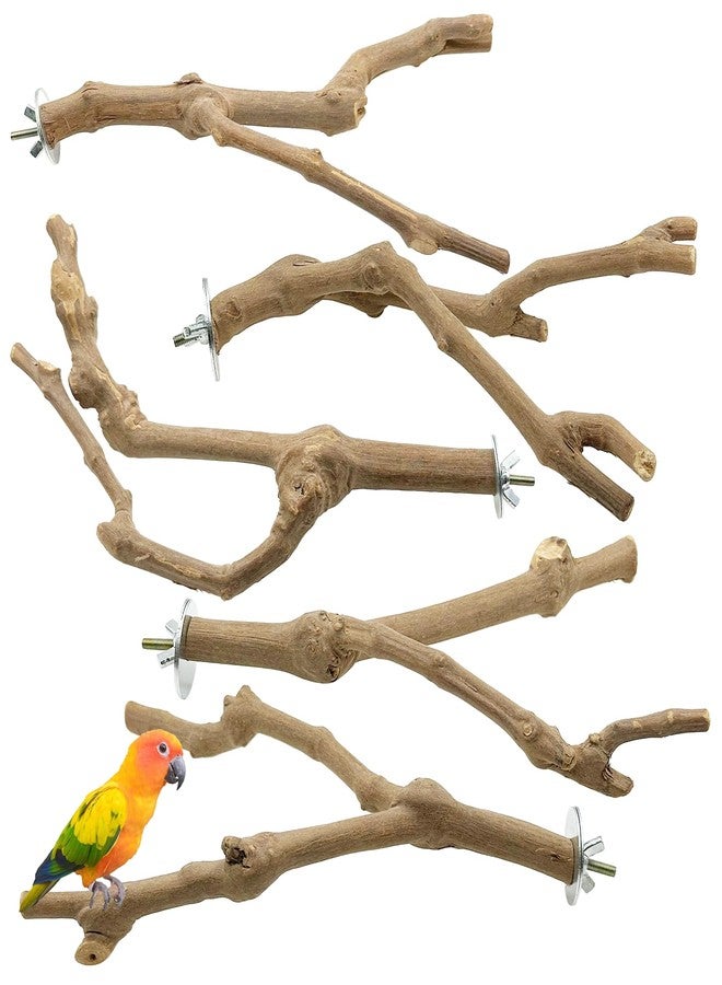 Allazone 5 PCS Bird Perch Natural Grape Stick Bird Standing Stick Swing Chewing Bird Toys Natural Grapevine Bird Cage Perch for Parrot Cages Toy for Cockatiels, Parakeets, Finches - Image 1