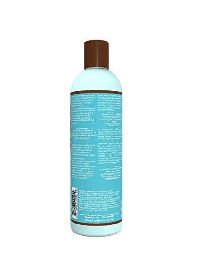 Argan Oil Conditioner 12 Fluid Ounce - pzsku/Z7847C5F484A7B65FDEDEZ/45/_/1662021076/4082ac6a-81de-4742-a5e3-c22c643b1812