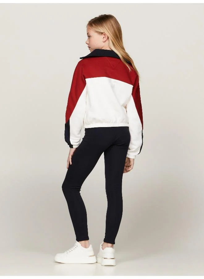 TOMMY HILFIGER RWB COLORBLOCK FLEECE HALF ZIP