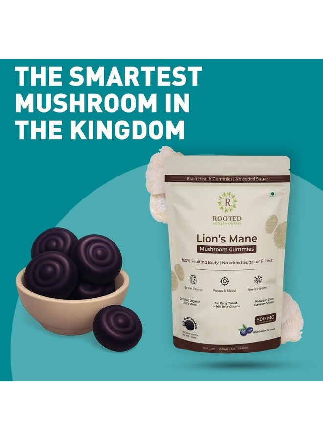 Rooted Active's Lion's Mane Mushroom Gummies, Blueberry Flavor - Mushroom Supplement Gummy for Adults & Children Supports Brain Health, Cognitive Function, Focus, Memory & Mood, 60 Gummies | Sugar Free - Image 5