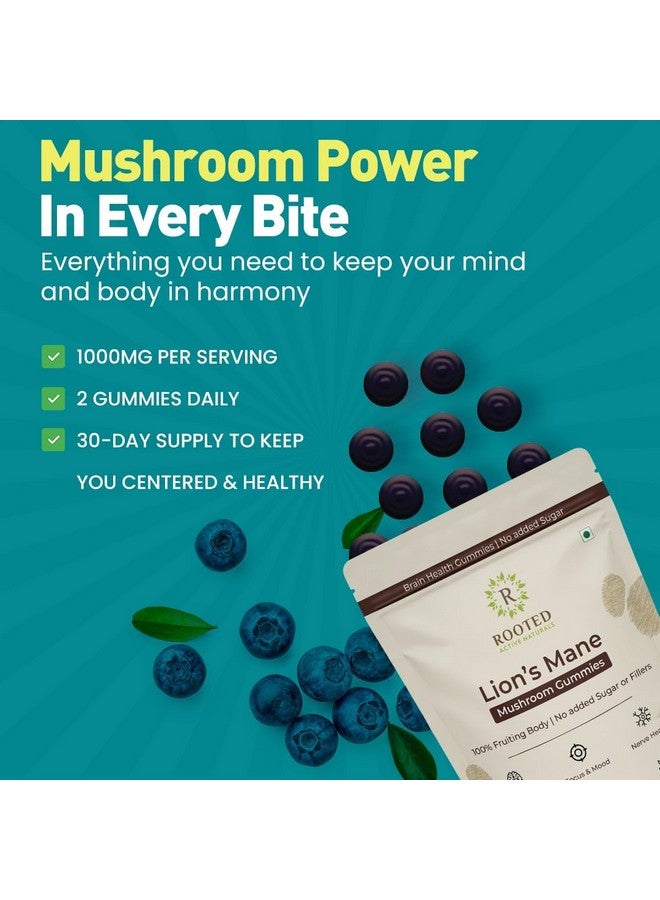 Rooted Active's Lion's Mane Mushroom Gummies, Blueberry Flavor - Mushroom Supplement Gummy for Adults & Children Supports Brain Health, Cognitive Function, Focus, Memory & Mood, 60 Gummies | Sugar Free - Image 2