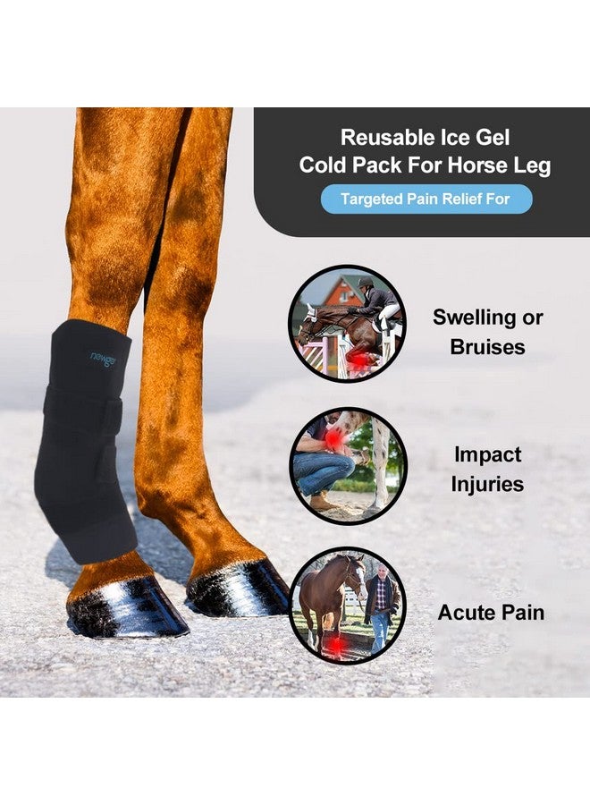 نيو جو كمادات الثلج للخيول، كمادات الثلج القابلة لإعادة الاستخدام لساقي الخيول في حالة الإصابة، كمادات ركبة الخيول المبردة، كمادات الثلج الكاملة للساق، كمادات باردة واحدة مع عبوتين من الجل للركبة والساقين والأحذية والحوافر - Image 2