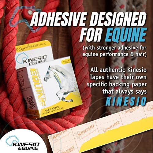 Kinesio Equine Tape - Tex Gold FP Horse Tape -Tape Made Specifically for Horses - 2”x 16’ Rolls - Yellow - Image 4