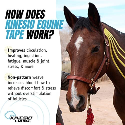 Kinesio Equine Tape - Tex Gold FP Horse Tape -Tape Made Specifically for Horses - 2”x 16’ Rolls - Yellow - Image 2