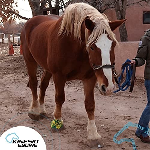 Kinesio Equine Tape - Tex Gold FP Horse Tape -Tape Made Specifically for Horses - 2”x 16’ Rolls - Yellow - Image 5