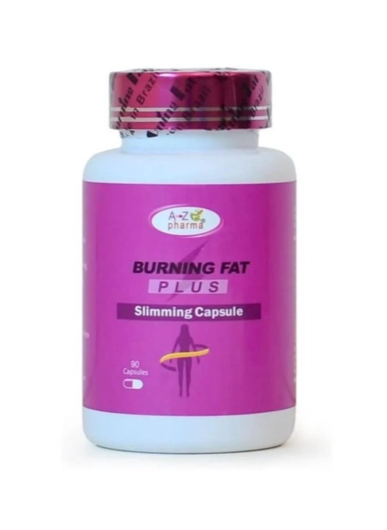 Burn Fat Plus Advanced 90 Capsules - pzsku/Z784A5A81E33221A880F4Z/45/_/1727874797/6768c80c-050a-494c-b347-cc98d2e6756c