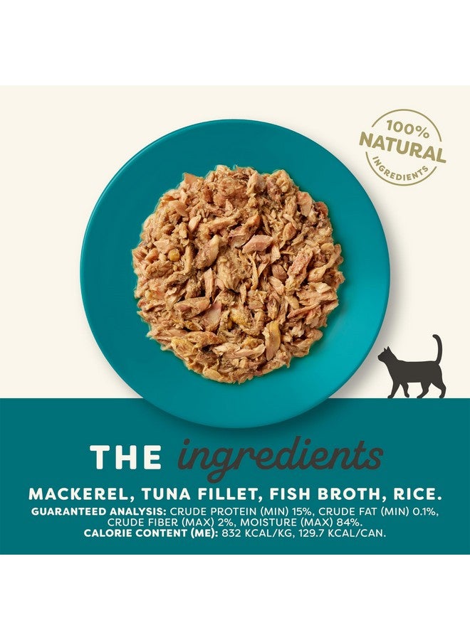 آبلاوس طعام القطط الرطب الطبيعي من أبلاوز، 24 قطعة، طعام قطط رطب معلب بكمية محدودة، سمك المحيط في مرق، علب 5.5 أونصة - Image 3