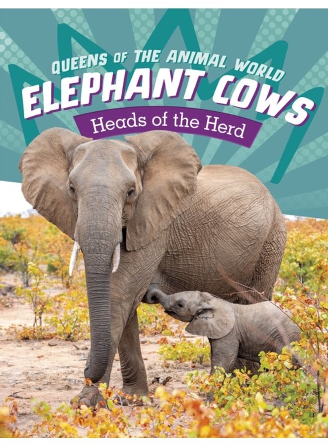 Elephant Cows Heads of the Herd - Paperback