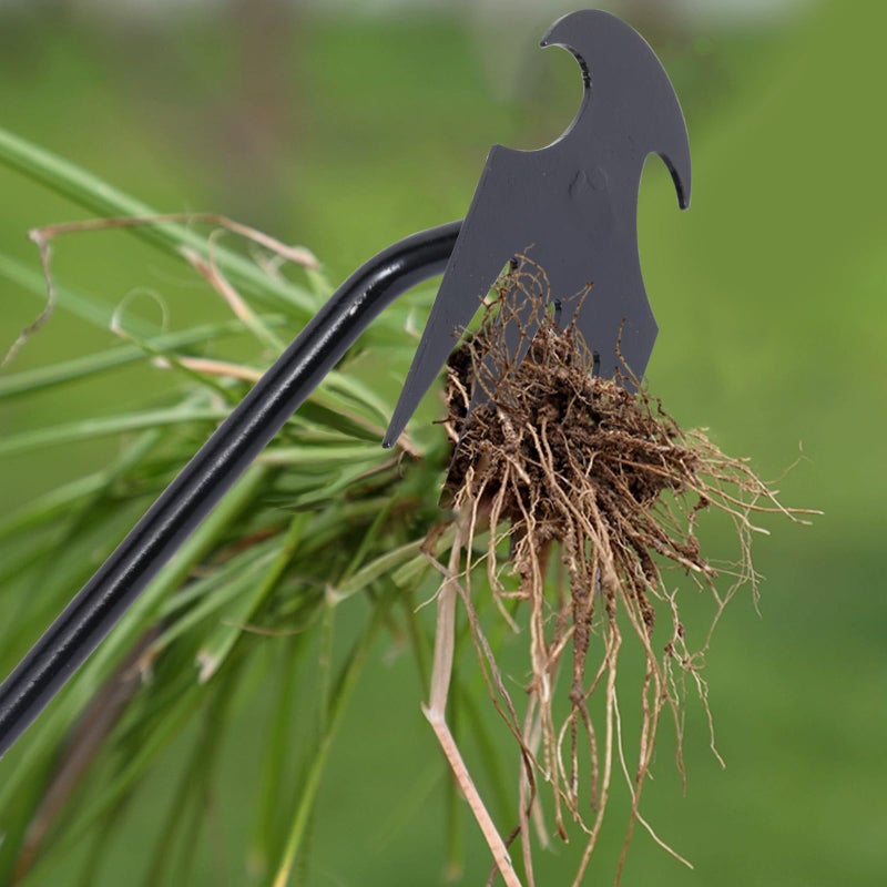 Young4us Garden Weed Pulling Tool Uprooting Weeding Tool, 4 Teeth Weed Puller Tool Manganese Steel Garden Weeder Tool for Vegetable Gardening Planting (Black, 2 Pack, 16 inches) - Image 3