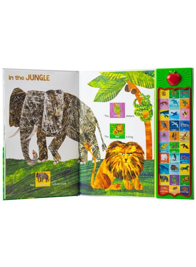 Eric Carle World of Eric Carle Sound Books Bundle for Kids Toddlers - Hear Bear Roar Interactive Eric Carle Board Book with Coloring Book and Stickers (Eric Carle Books for Kids)  - Image 2