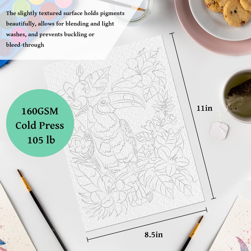 Kalysky 8.5 * 11" Watercolor Workbook,3 Watercolor Coloring Books for Adults,Water Color Book kit for Adults Beginner,160GSM Cold Press Textured Thick Paper - Image 4