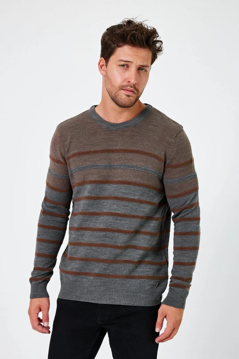 Alexander Gardi Crew Neck Striped Regular Fit Sweater (E24-EZE-20)