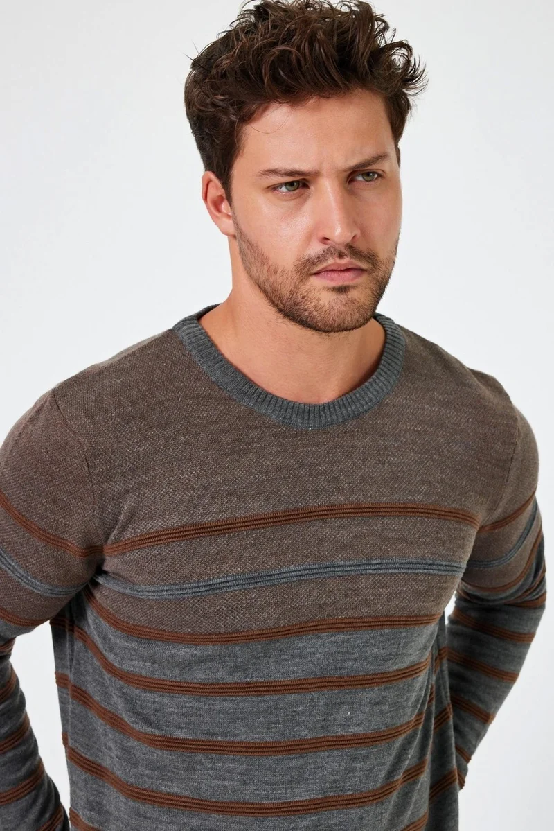 Alexander Gardi Crew Neck Striped Regular Fit Sweater (E24-EZE-20)