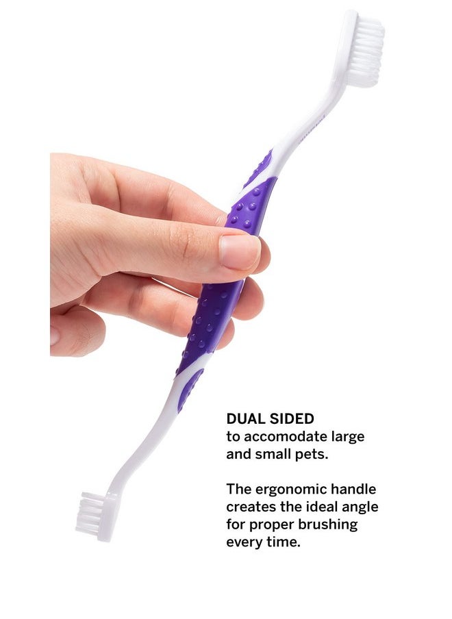 petsmile - petsmile Professional Pet Toothbrush - Patented 45° Cat & Dog Toothbrush for Small & Large Animals - Pet Accessories for Dental Care - VOHC Approved Dog Teeth Cleaning - Dog Toothpaste Not Included - Image 1