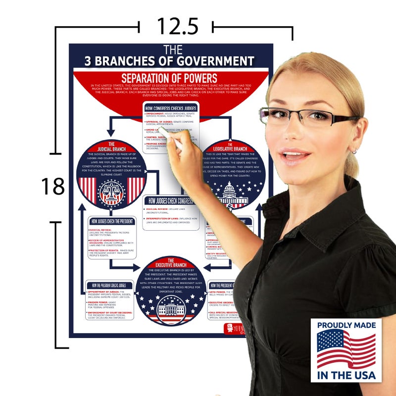 Young N Refined 16 US Government History LARGE poster pack Charts for classrooms 12.5x18 Matt | Young N Refined | USA MADE - Image 2