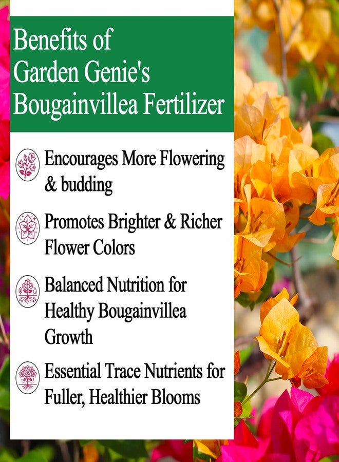 Garden Genie Bougainvillea Plant Fertilizer for Flowering, 830g - Image 3