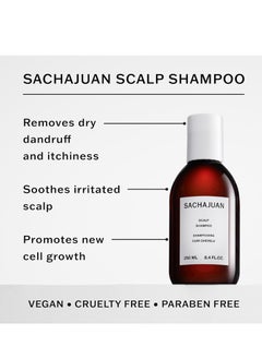 SachaJuan Scalp Shampoo 250 ml 8.4 fl oz - pzsku/Z7852B62F7DF0D76A391EZ/45/_/1737910253/8dbd326a-7a68-4cdf-8b2e-052ae791405e