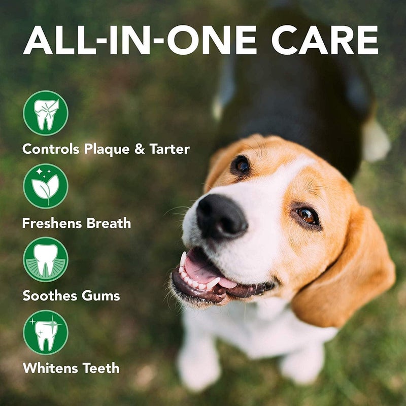 Vet's Best Triple Headed Toothbrush for Dogs - Image 4