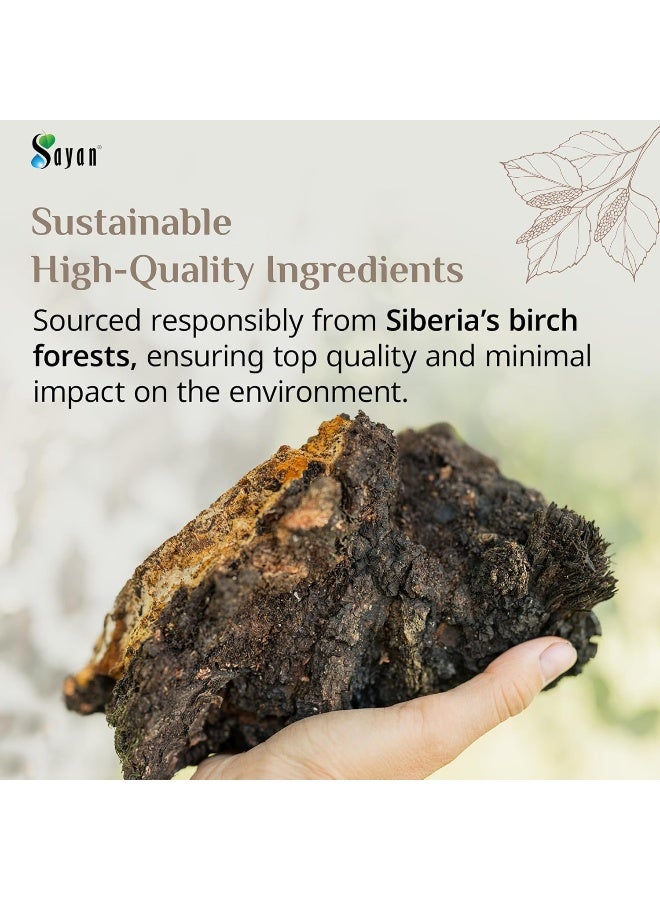 sayan Sayan Siberian Pure Raw Chaga Mushroom Chunks with Black Top Crust 1 Lb / 454 g – Premium Wild-Harvested Antioxidant Tea for Immune System and Digestive Health - Image 5